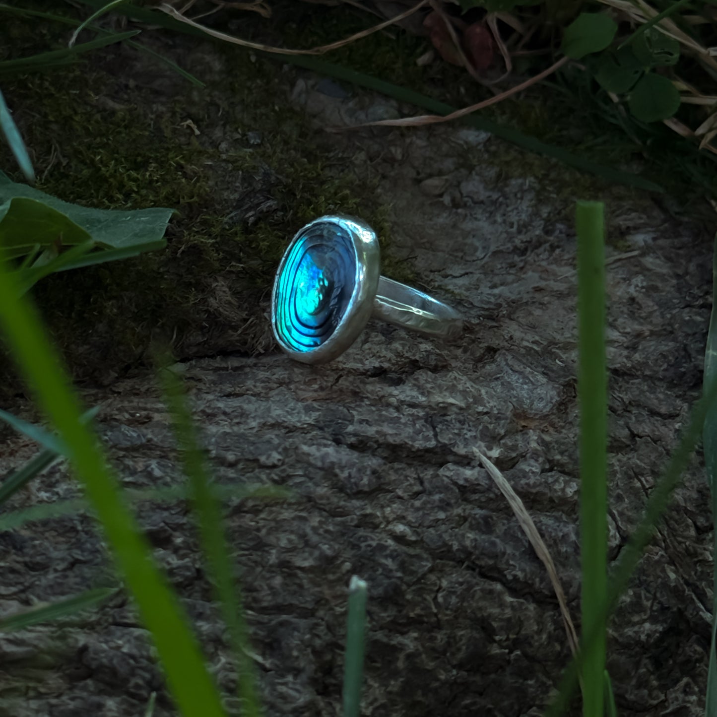 The Echo Ring