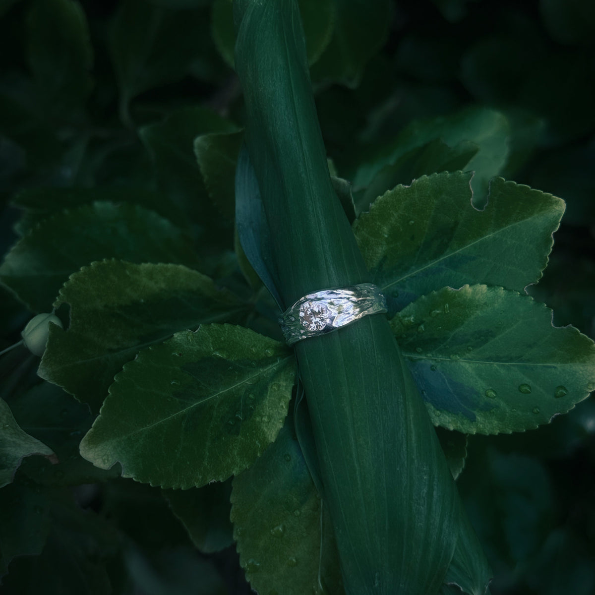Lightkeeper Ring