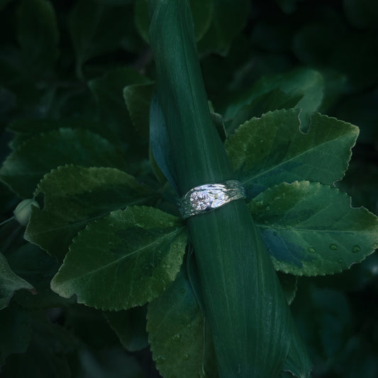 Lightkeeper Ring