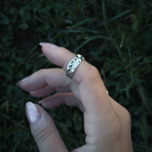 Earth Ring